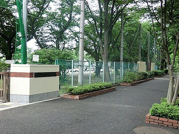 練馬区立大泉学園桜小学校(約770m)