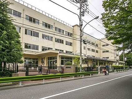 練馬区立石神井小学校 440m