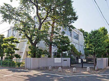 練馬区立開進第三中学校 300m