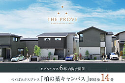 千葉県柏市正連寺屋敷内341番3(地番)他