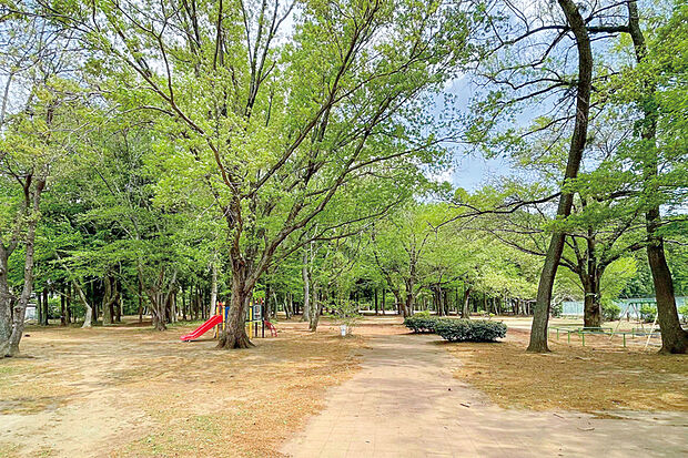 東深井地区公園(古墳公園)（現地より徒歩17分）