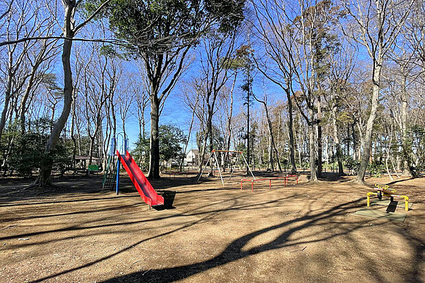 松ヶ丘ふるさと公園（現地より徒歩10分）