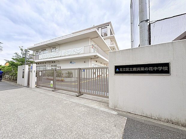 鹿浜菜の花中学校（約800m）