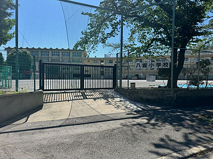 八坂小学校 329m
