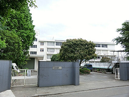 市立四谷小学校 205m