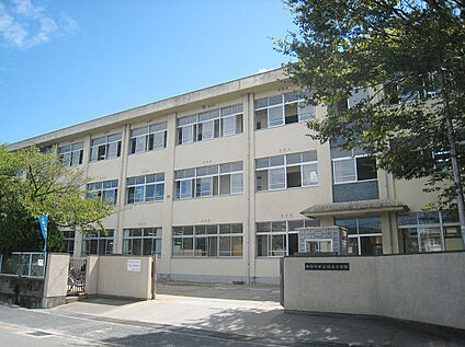 鳩里小学校 980m(徒歩約12分)
