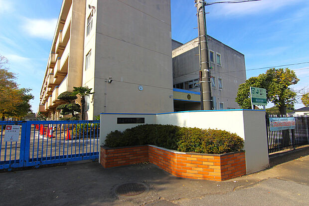 青毛小学校（約800m）