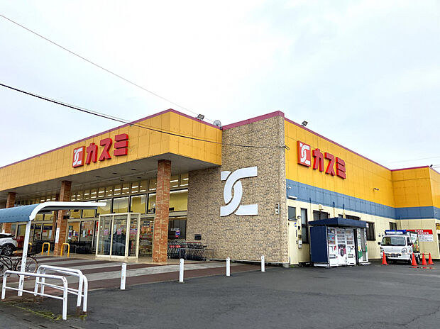 カスミ鷲宮店（約1,300m）