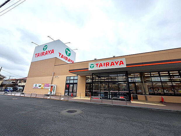 エコスTAIRAYA春日部中央店（約300m）