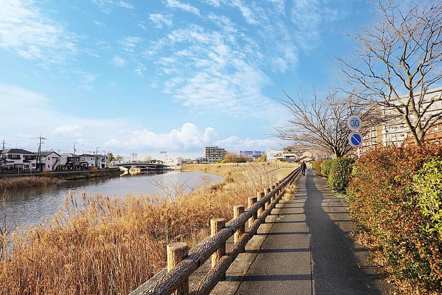 自然豊かな風景を描く綾瀬川(徒歩5分)