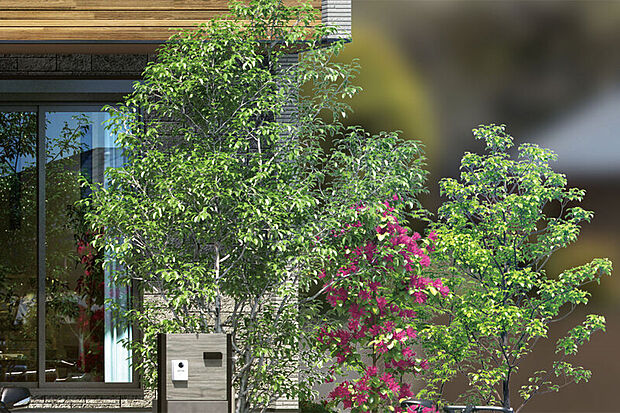 【【街並みを彩る植栽計画】】四季を通して楽しめるシンボルツリーのシマトネリコをはじめとする樹木と豊かな下草を配置しています。暮らしに彩りが添えられ、潤いある景観を楽しめます。