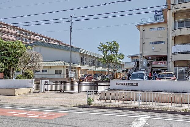 千間台小学校(現地より徒歩12分)