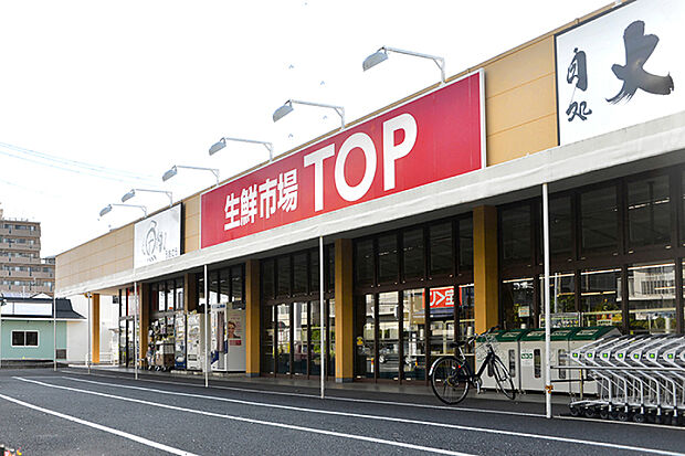 生鮮市場TOP 春日部店(現地より徒歩8分)