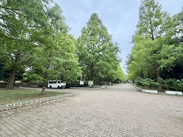 【そうか公園】(約600m)