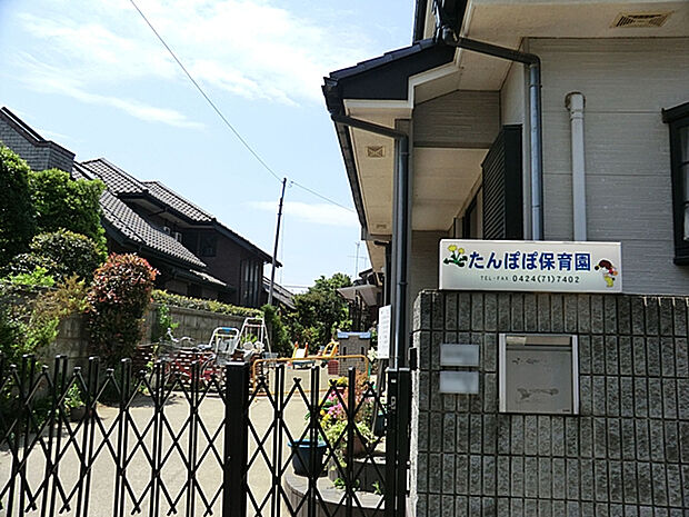 たんぽぽ保育園（約450m）
