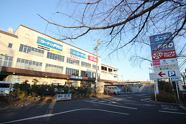 ロピア田無店（約700m）
