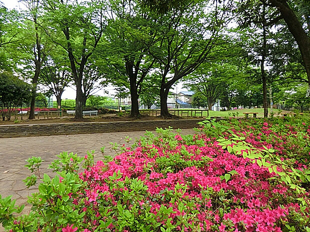 つつじ公園（約350m）