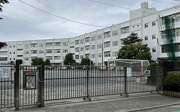 横浜市立小雀小学校（約750m）