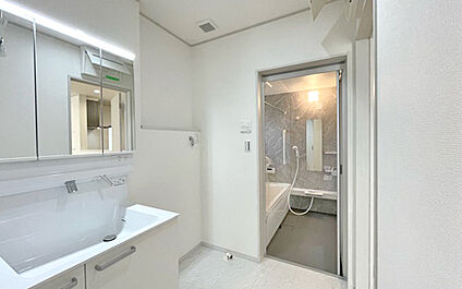 現地写真:1階洗面(1号棟)