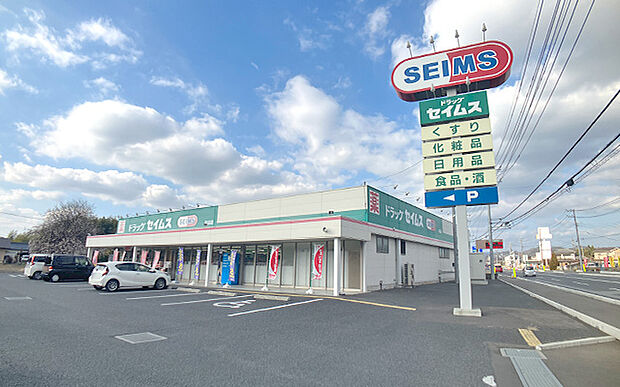 ドラッグセイムス田沼店(約550m)