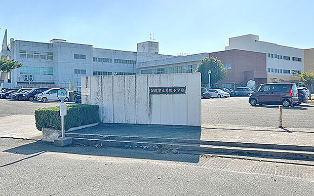 市立葛塚小学校(約220m)