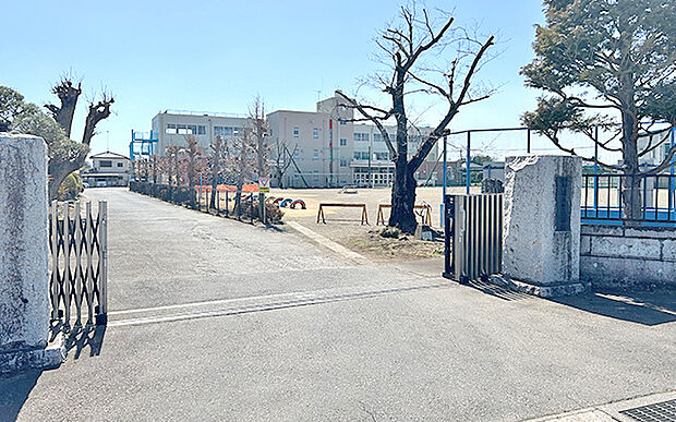 町立佐川野小学校（約1,800m）