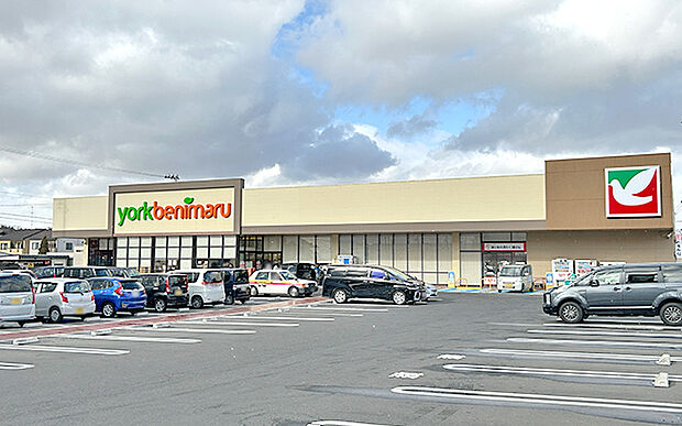 ヨークベニマル安積町店(約1,340m)