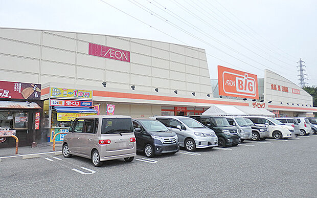 ザ・ビッグ長野東店（約110m）