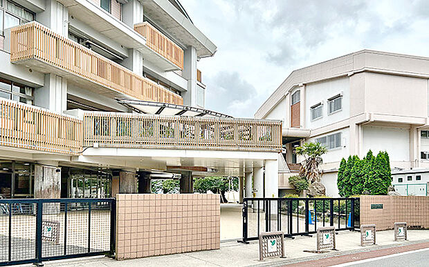 市立真鍋小学校(約540m)