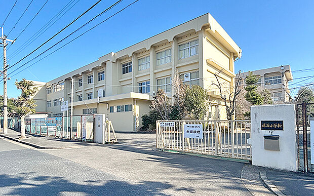 市立深谷小学校（約450m）