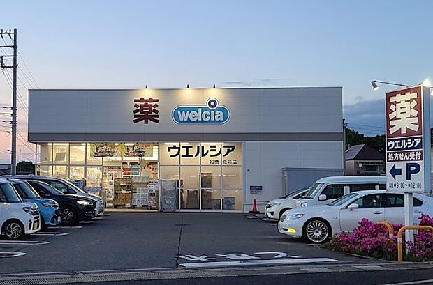 ウエルシア船橋金杉店（約1,317m・徒歩17分）