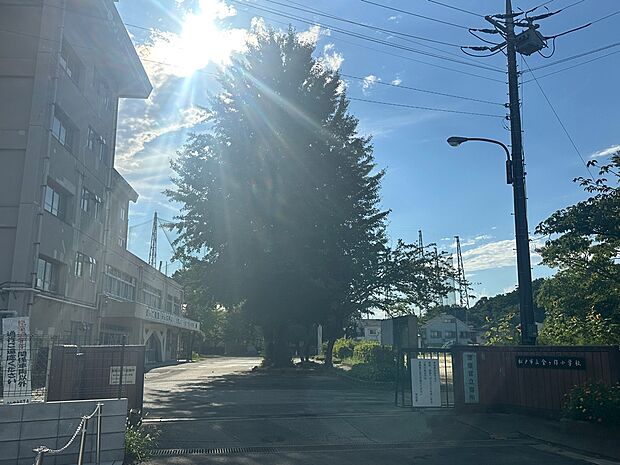 松戸市立金ケ作小学校(約1,093m・徒歩14分)