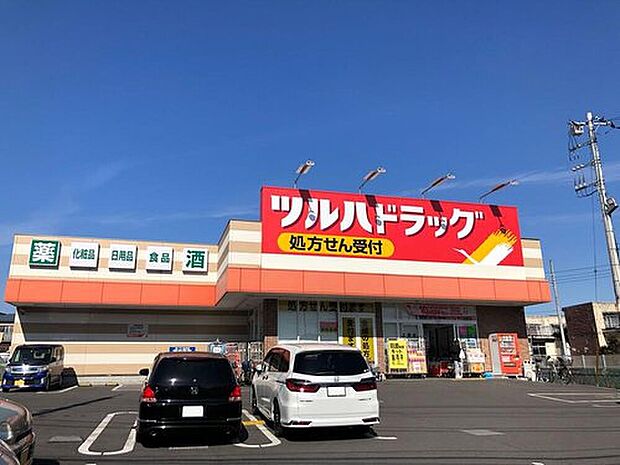 ツルハドラッグ上溝店(約300m)