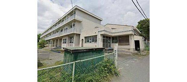 伊勢原市立成瀬小学校（約819m）