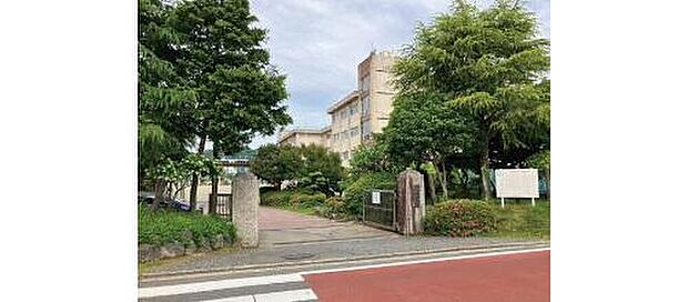 小田原市立国府津中学校(約310m)