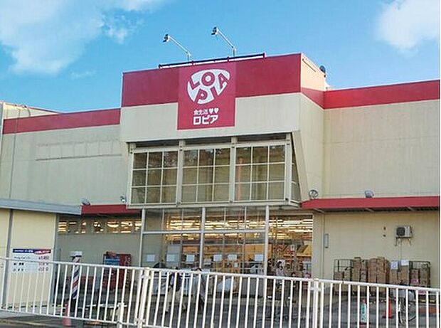 ロピア綾瀬店（約450m）