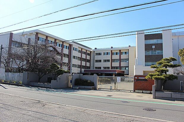 松原第四中学校(約450m)