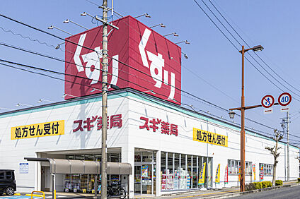 スギ薬局　豊田高上店 約580m～780m(徒歩8分～10分)