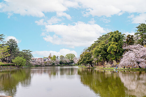 大宮公園(現地より徒歩23分)