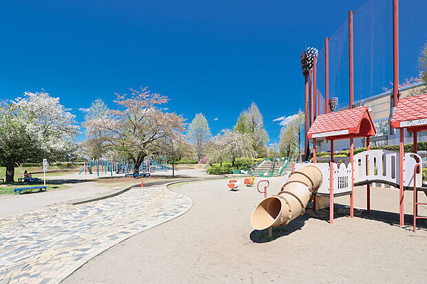 上平公園(現地より徒歩5分)