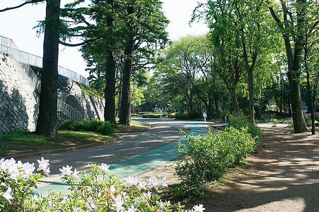 上尾運動公園（現地より徒歩14分）