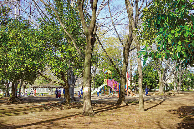 伊奈町制施行記念公園・バラ園（現地より徒歩24分）