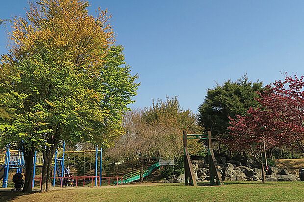 根ヶ谷戸公園（現地より徒歩4分）