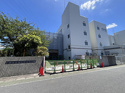 座間市立相模が丘小学校 250m