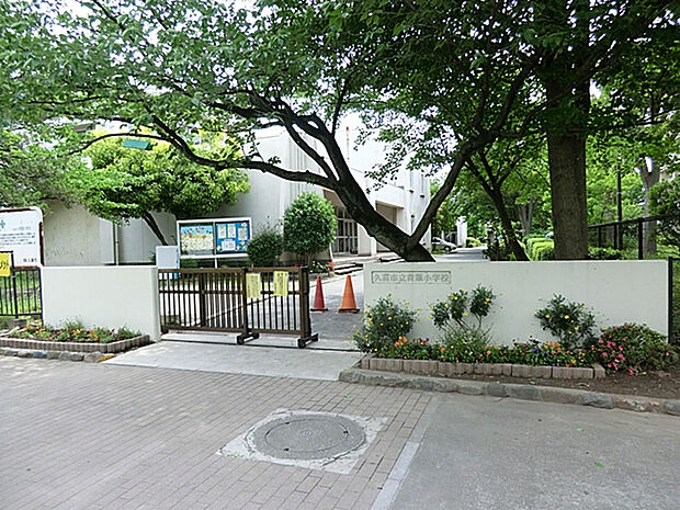 青葉小学校（約259m）