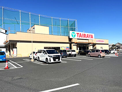 エコスTAIRAYA幸手店 1400m