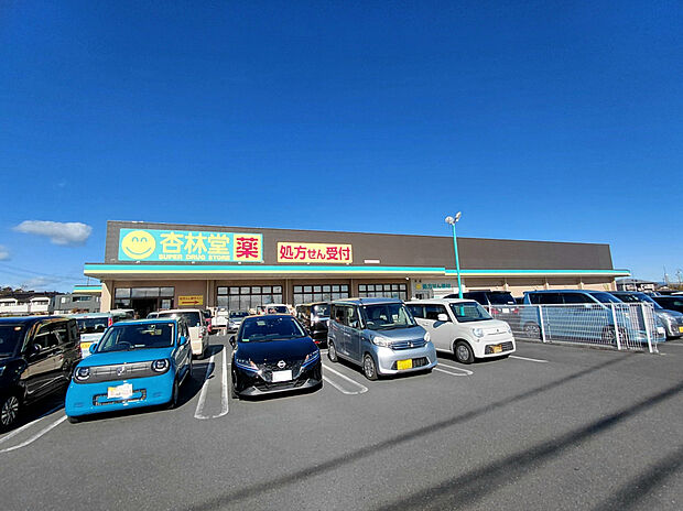 杏林堂ドラッグストア内野店（約800m）