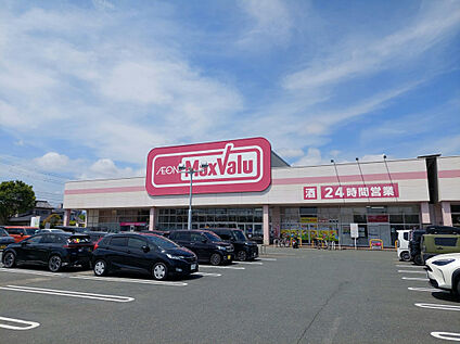 マックスバリュ浜松葵西店 1000m