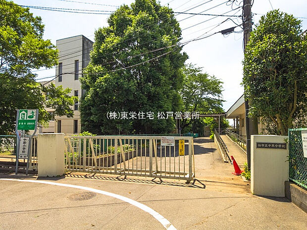 柏市立中原小学校（徒歩14分）（約1,100m）
