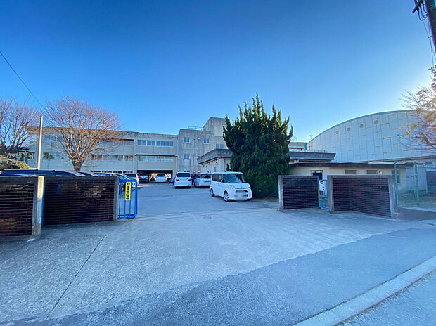 松戸市立貝の花小学校（約647m）
